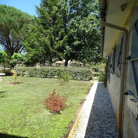 Le Petit Du Pont Blanc Saint-Julien-en-Born